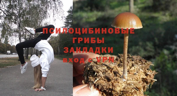 гашиш Заводоуковск