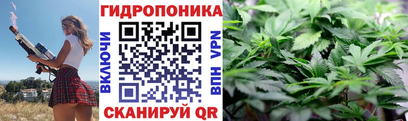 Купить закладки Избербаш Бошки Шишки план